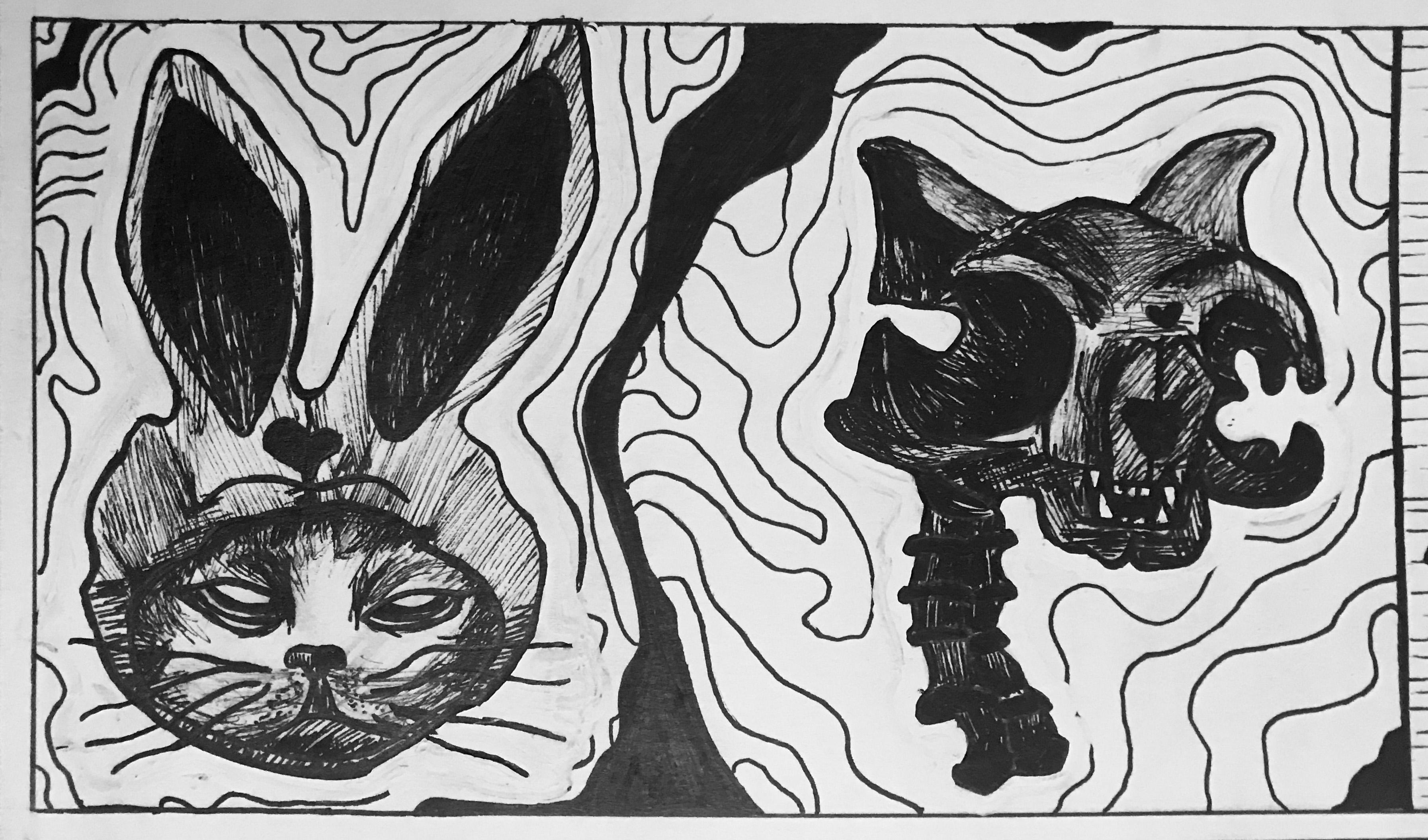 Two rabbit heads sit side by side, one covered in fur and the other shown as a skull with visible spinal detail.